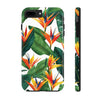 Birds of Paradise