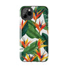 Birds of Paradise