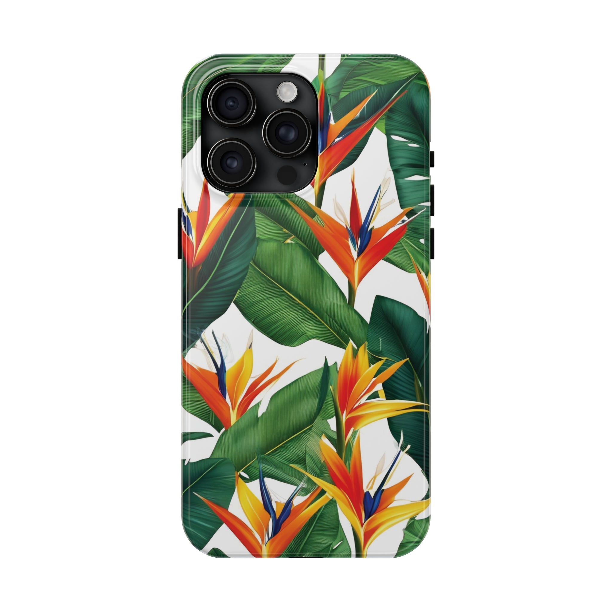 Birds of Paradise