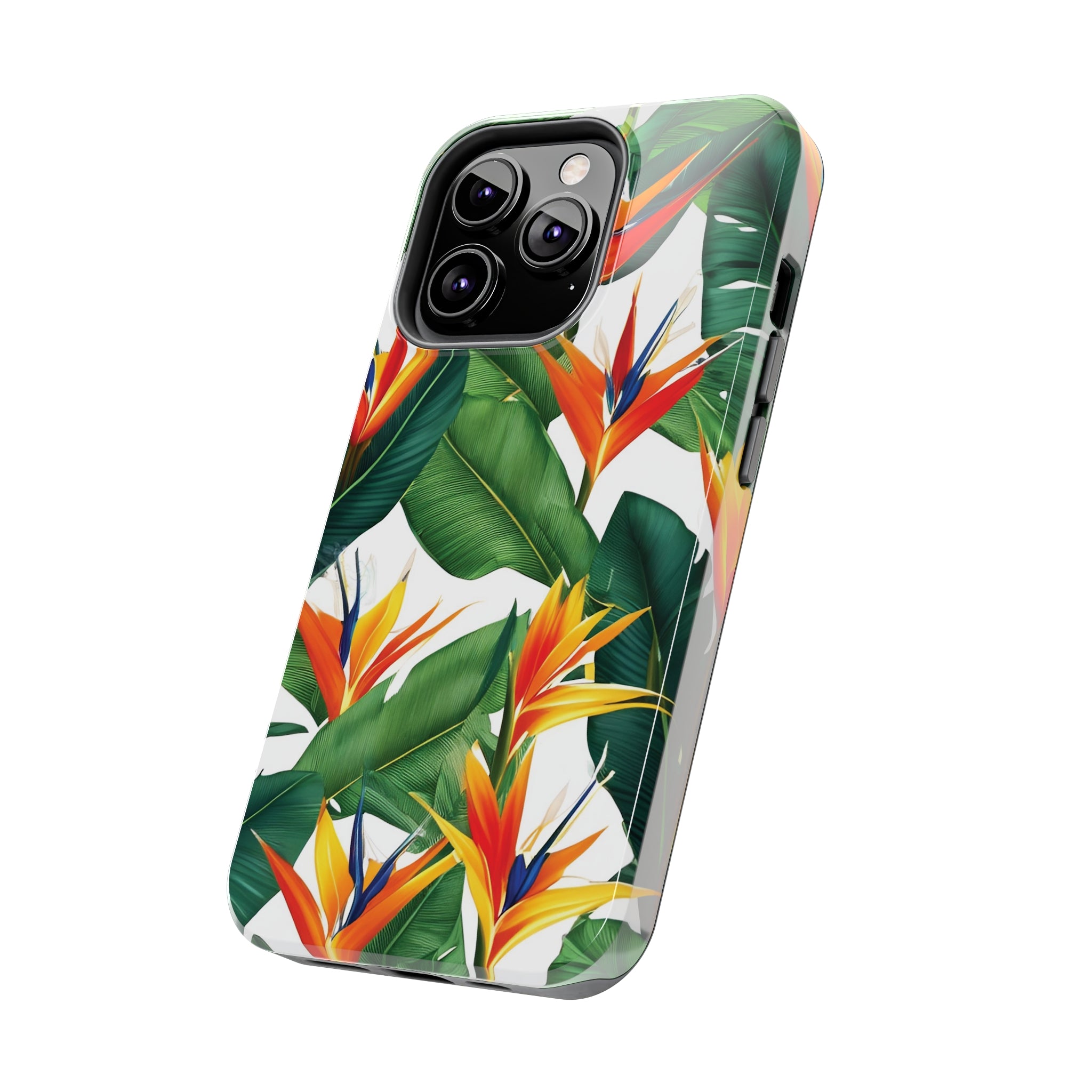 Birds of Paradise