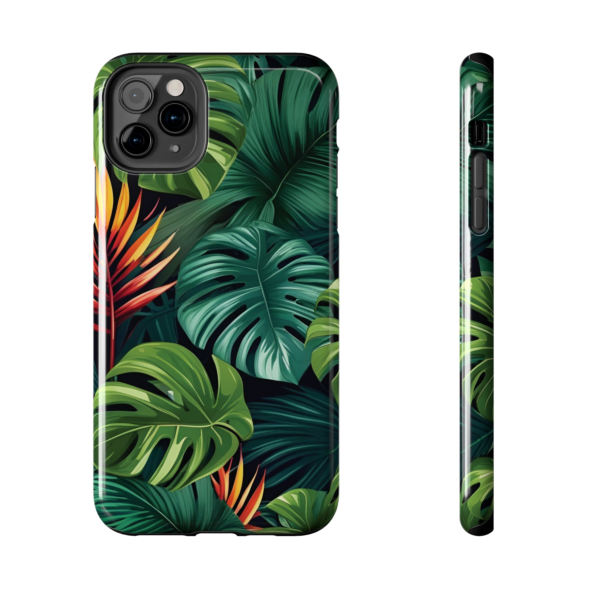 Monstera