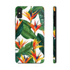 Birds of Paradise